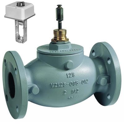 Two-way Flanged Globe Valve , 125 ANSI rating